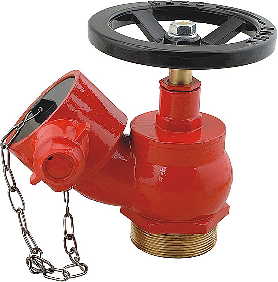 Landing Valves